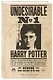 Гарри Поттер. Нежелательное лицо №1. Ежедневник недатированный - фото 2