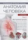 Анатомия человека. Атлас. Учебное пособие. Том 2. Внутренние органы - фото 1