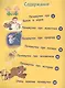 Почему бык не любит красный цвет? И ещё 100 детских «почему» - фото 3