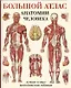Большой атлас анатомии человека(в табл) - фото 3