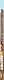 Тоби и гиганты ледникового периода - фото 3