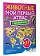 Животные. Мой первый атлас с наклейками - фото 3