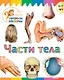 Части тела - фото 1