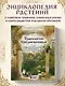 Травология Средневековья. Чудодейственные растения, древние рецепты и непостижимые тайны трав - фото 4