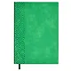 Ежедневник недат. А5 160л "Шеврет экстра" зеленый, иск.кожа, мягкий переплет, блинт.тиснение, офсет, ляссе - фото 1