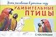 Уроки рисования в детском саду. Удивительные птицы - фото 1