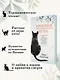 Хроники странствующего кота - фото 5