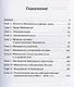 Вспоминая Макиавелли. Оценки, размышления, заметки - фото 2