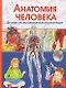 Анатомия человека. Детская иллюстрированная энциклопедия - фото 1
