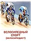 Дем. картинки СУПЕР Виды спорта. 16 демонстр.картинок с текстом(173х220мм) - фото 5