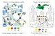 Моя первая развивающая раскраска. 56 увлекательных занятий - фото 5