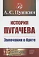 История Пугачева: Замечания о бунте - фото 1
