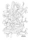 OUTLINES. Раскраска «Мир бабочек» - фото 9
