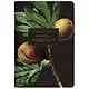 Тетрадь в клетку Be Smart, "Flora. Инжир", 48 листов - фото 1
