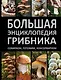 Большая энциклопедия грибника. Собираем, готовим, консервируем. - фото 1