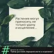 Тайны растений. Народная магия и исцеление - фото 4