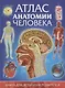 Атлас анатомии человека.Книга для детей и их родителей - фото 1