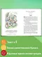 Тимур и его команда (ил. О. Зубарева) - фото 5