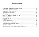 Литературное чтение. 4 класс. Предварительный контроль, текущий контроль, итоговый контроль - фото 2