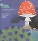 Муха из Малаховки - фото 5