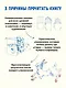 Ты — художник. 33 упражнения для развития креативности - фото 5
