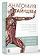 Анатомия тай-цзы. Руководство Гарвардской медицинской школы - фото 3