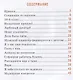 Школьные годы. Непридуманные рассказы. Васильева Л.Л. - фото 2