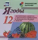 Ягоды. 12 развивающих карточек с красочными картинками, стихами и загадками для занятий с детьми - фото 1