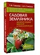 Садовая земляника. Богатый урожай вкусной и полезной ягоды - фото 3
