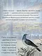 Загадочный Китай. Сборный комплект из 2-х книг с шоппером - фото 7