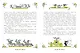 Золушка. Рисунки Э. Булатова, О. Васильева - фото 15