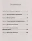 &quot Святые&quot  девяностые.  Предисловие Дмитрий GOBLIN Пучков (покет) - фото 2