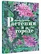 Растения в городе - фото 3