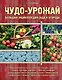 Чудо-урожай. Большая энциклопедия сада и огорода - фото 1