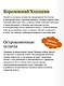 Мифы Хэллоуина. От костров Самайна и тыквенных фонарей до ведьмы в решете и открытых холмов - фото 6