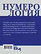Нумерология. Расчеты и значения - фото 2