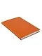 Книга для записей А5 100л кл. оранжевый, интегр., тонир.блок, резинка, ляссе, Schiller - фото 10