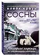 Сосны. Последняя надежда - фото 3