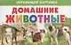 Обуч.карт.Домашние животные - фото 1