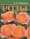 Розы - фото 2