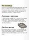Спасение дикого робота - фото 7