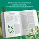 Гримуар травницы. Иллюстрированный справочник по сбору, заготовкам и полезным свойствам дикорастущих растений - фото 6