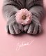 Тетрадь общая «Cat & Flowers», 96 листов в клетку, А5, в ассортименте - Listoff - фото 2