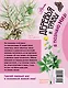 Деревья и травы - фото 2