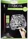 Набор д/творч. Гравюра серебро Енот (HY340001129g) (18х24 см)(8+) (Hobby and you) - фото 1