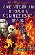 Как утопили в крови Языческую Русь. Иго нового Бога - фото 1
