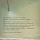 Стеснительный пес Роб - фото 4