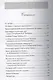 Течет река Мойка. Правый берег. От Невского проспекта до Устья - фото 2