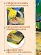 Скетчбук 190*190 64л "Ван Гог Премиум" Ночная терраса кафе 160г/м2,7БЦ,  мат.ламинация, выб.лак, кругл. Углы - фото 2