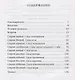 Десять секретов Счастья. Современная притча о мудрости и счастье - фото 2
